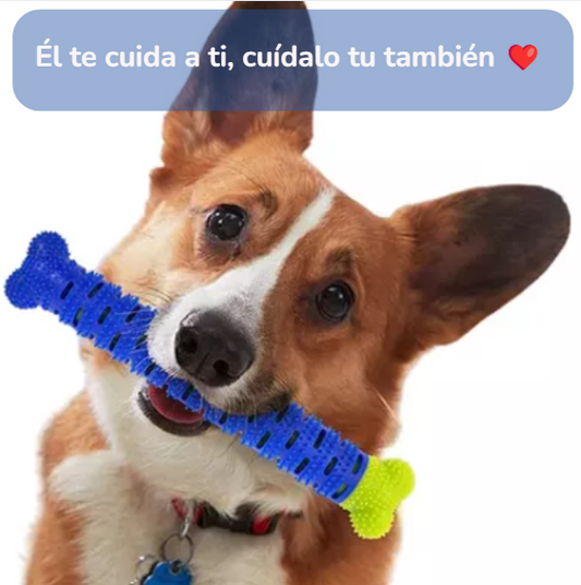 Limpiador de Dientes Autocepillable para Cachorros | Salud para tu compañero