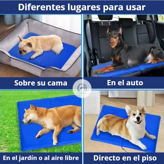 Manta Refrescante para Mascotas | Frescura y confort para tus peluditos